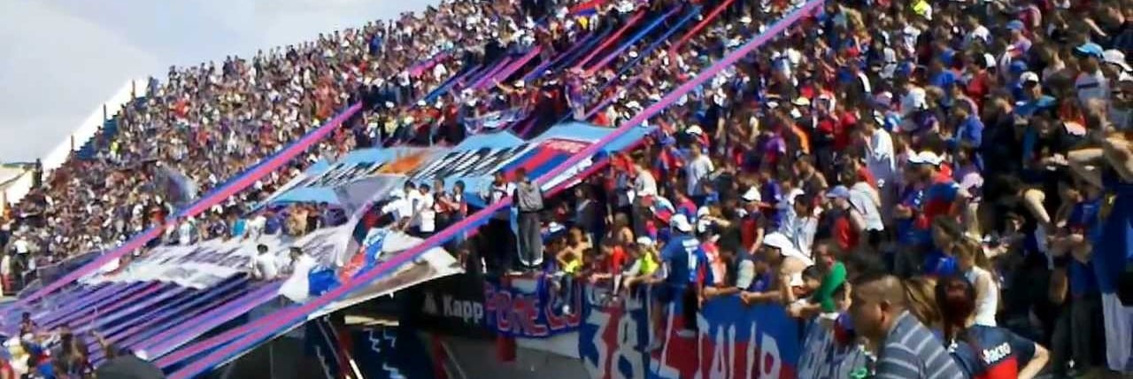 hichada de tigre