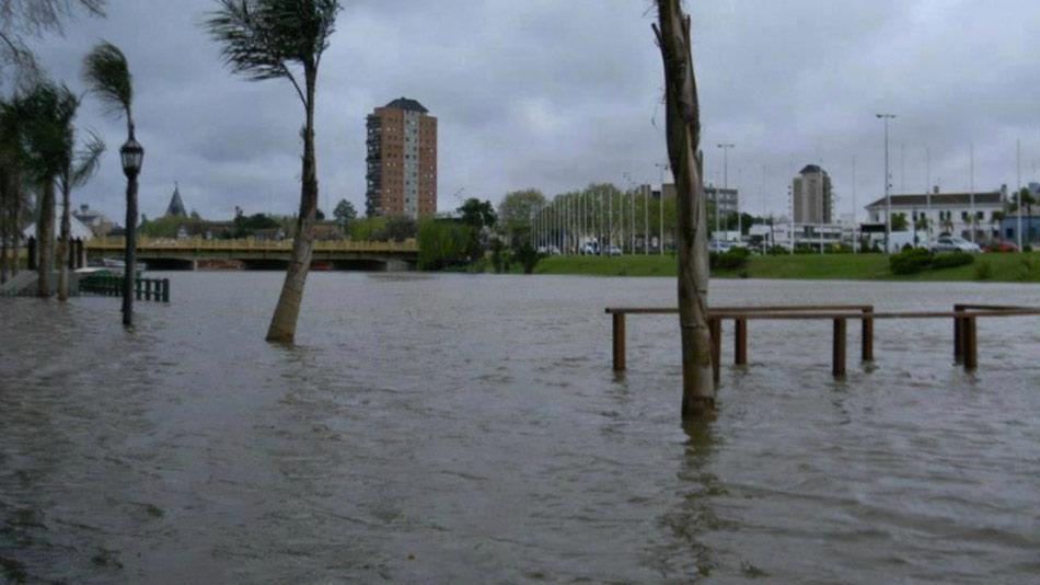 tigre-sudestada