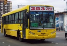 Paro en la línea 203 por la agresión a un chofer