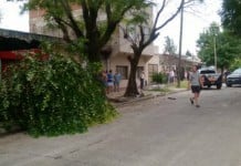 Patrullero atropelló y mató a una anciana