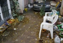 Se detectaron casos de dengue en Vicente López