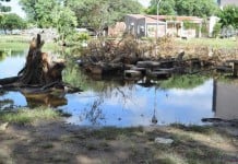 El Ministerio de Salud provincial advierte que las lluvias prolongan el riesgo de dengue