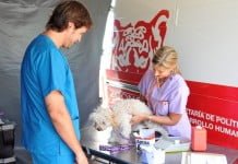 Zoonosis recorre Tigre para realizar castraciones y vacunaciones gratuitas