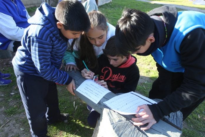 Los chicos escriben un diario del campamento