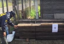 Secuestraron alrededor de 500 durmientes que se vendían ilegalmente en Escobar