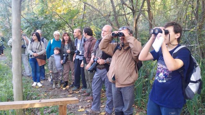 observación aves
