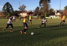 Tigre continúa los amistosos de pretemporada: ganó y jugará el sábado