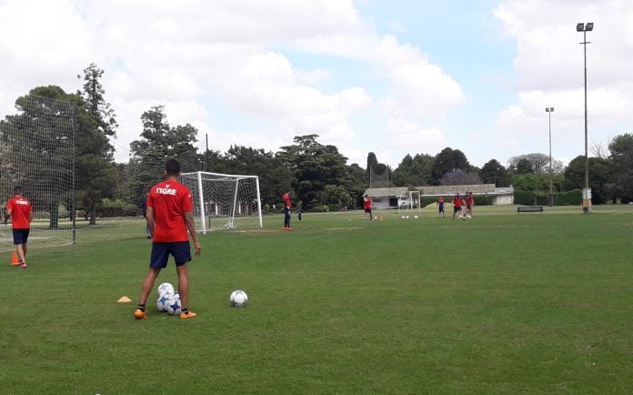 entrenamiento-tigre-7