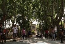 Paseadores de perros voluntarios, un espacio para la vocación animalera en San Martín
