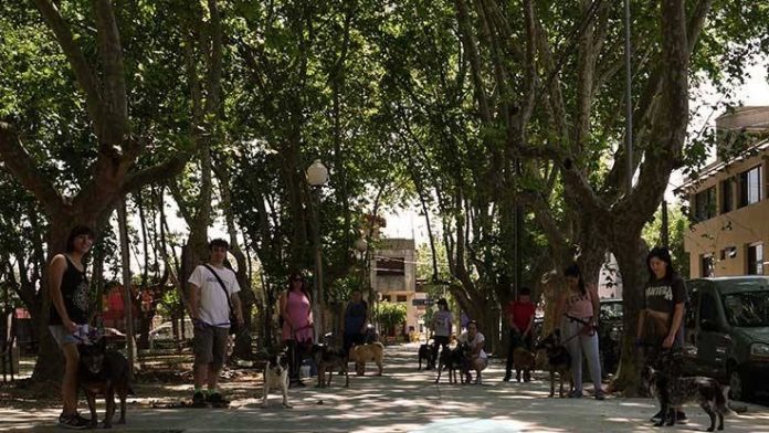 paseadores-1