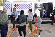 Cronograma para vacunación y castración de mascotas en San Martín