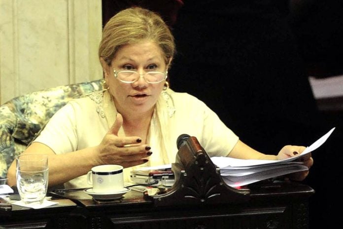 camañograciela graciela-camaño-presupuesto-2019