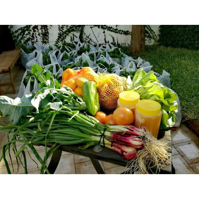 bolsones-verduras-pueblo-a-pueblo