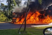 Voraz incendio en un colectivo de la línea 203 en Pilar