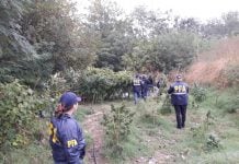 Detienen en Pilar a dos acusados de vender droga con seis kilos de marihuana y más de 200 plantas