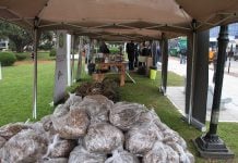 La Agencia de Residuos de Pilar lleva recolectadas 800 toneladas de reciclables en el año