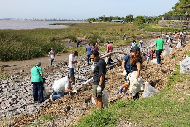 Campaña para limpiar la costa del río limpieza-rio-san-isidro-martinez-costa