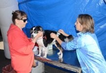 En julio, habrá jornadas de castración, vacunación y desparasitación gratuita en Vicente López jornadas-zoonosis-julio-2019-vicente-lopez