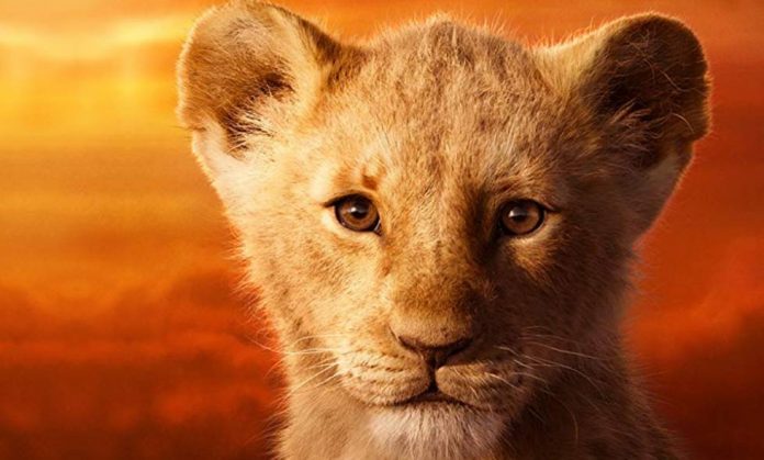 el rey leon
