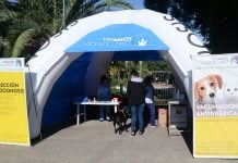 Esterilización, vacunación y desparasitación para mascotas en Vicente López