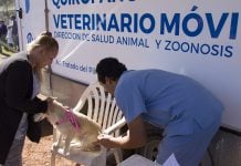Siguen los trámites en espacios públicos de Pilar durante agosto