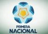 Logo Primera Nacional Afa