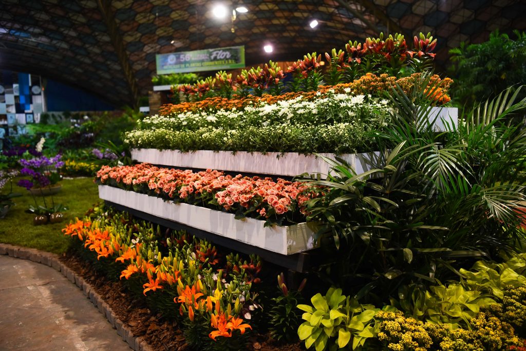 Fiesta De La Flor 2019