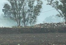 El Municipio de Pilar desmiente la existencia de un basural en un predio sobre Ruta 25