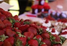 Fiesta de la Frutilla en Escobar: un fin de semana con feria de productores y espectáculos