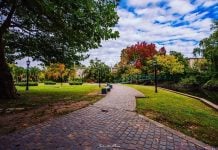 Las mejores postales de Zona Norte del 2019 otoño-tigre-2019