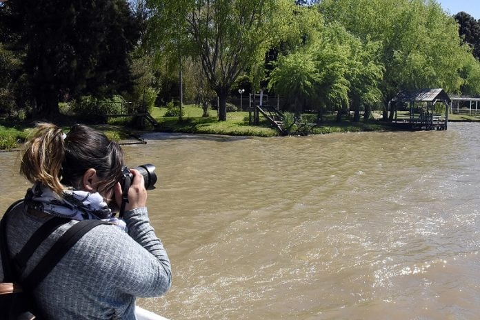 concurso fotos tigre