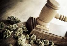 Justicia Cannabis