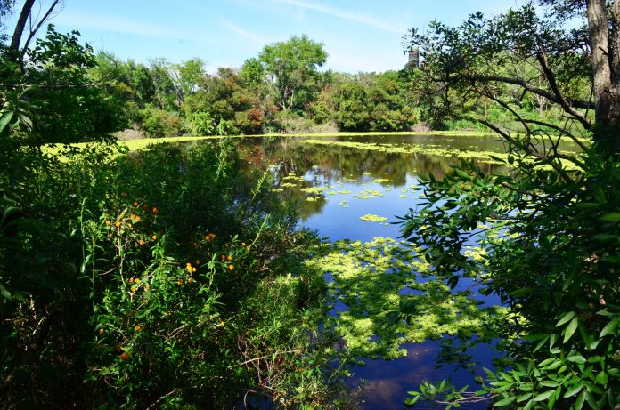 Reserva EcoVL