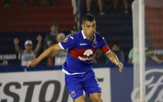 Alcoba Tigre Palmeiras