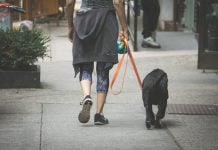 Cuarentena: ¿Se puede sacar a pasear al perro? Paseo Perro 3