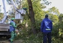 Pilar suspendió la poda mientras dure la cuarentena Poda Pilar