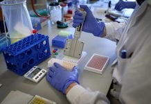 Ya son más de 100 los casos positivos de coronavirus en Pilar Test Covid Coronavirus
