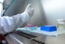 Pilar superó los 350 casos positivos de coronavirus Coronavirus Positivo 09