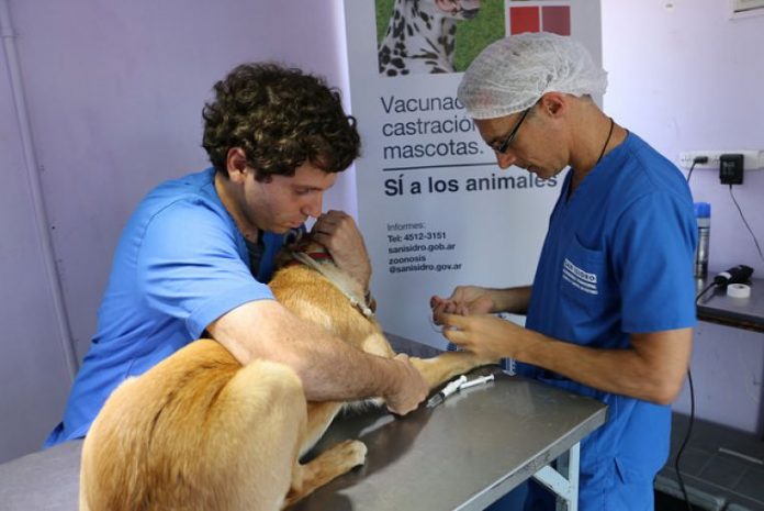 Zoonosis 1