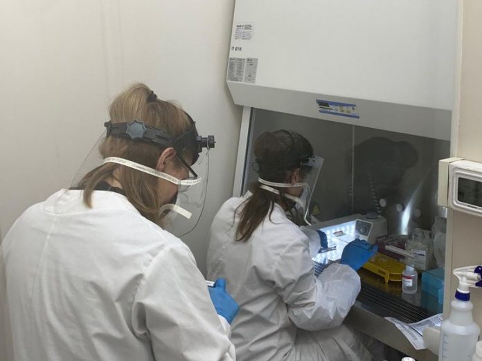 Coronavirus En Tigre