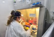 Laboratorio 1