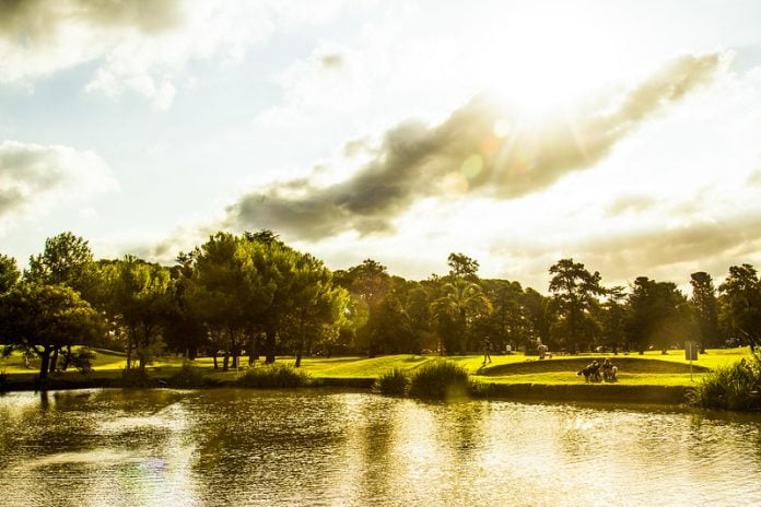 Golf (1)