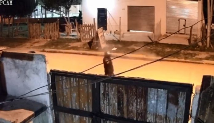 Casa Familia Niño Autista Ruidos Molestos