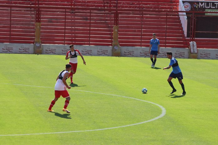 Tigre Amistoso (2)
