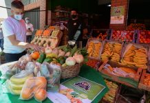 Zabaleta Presentó Un Bolsón Popular De Frutas Y Verduras Para Cuidar El Bolsillo De Los Vecinos