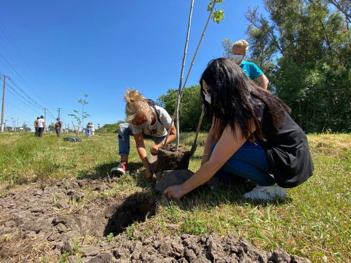 Plantando Conciencia 2