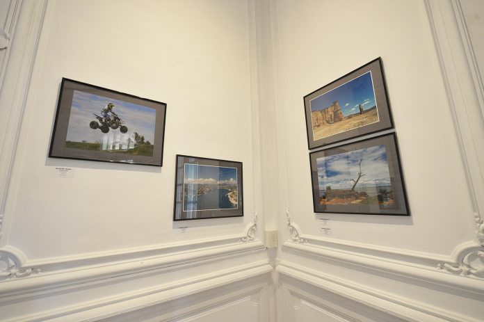 galeria fotos tigre galeria fotos tigre