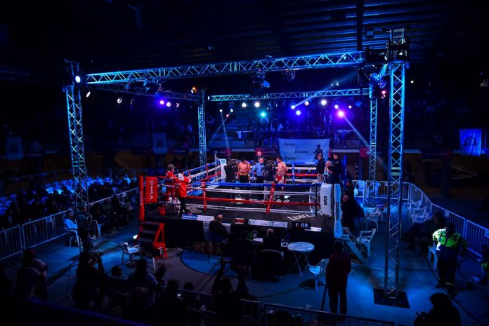 Box En El Microestadio 2019