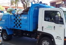 Camion San Martin