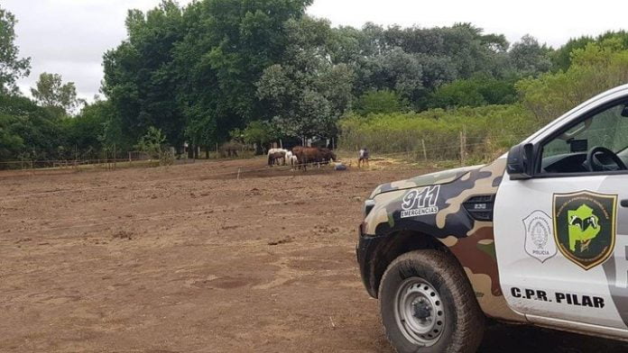Caballos y camioneta Caballos Y Camioneta